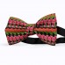 Papion personalizat, flori lalele rosii-roz